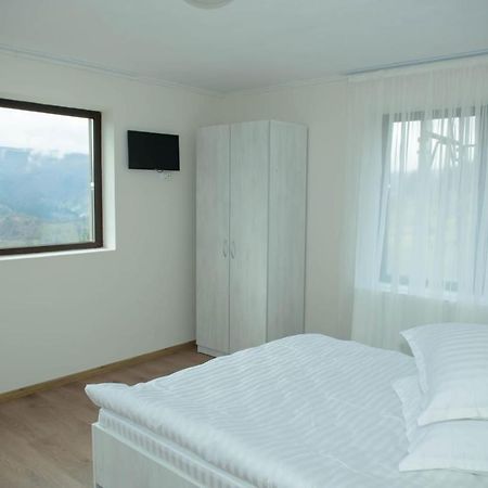Vila Zorilor Dîmbovicioara Exteriér fotografie